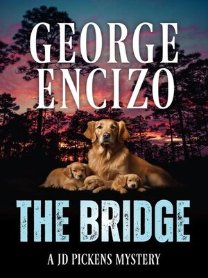 cover image of The Bridge
